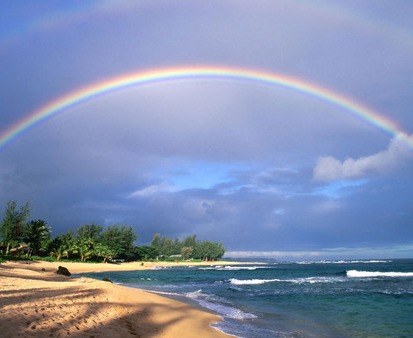 Maui rainbow transformation Healers